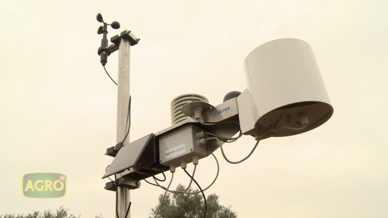 Transformación Agrícola a través de la Cosecha Automatizada