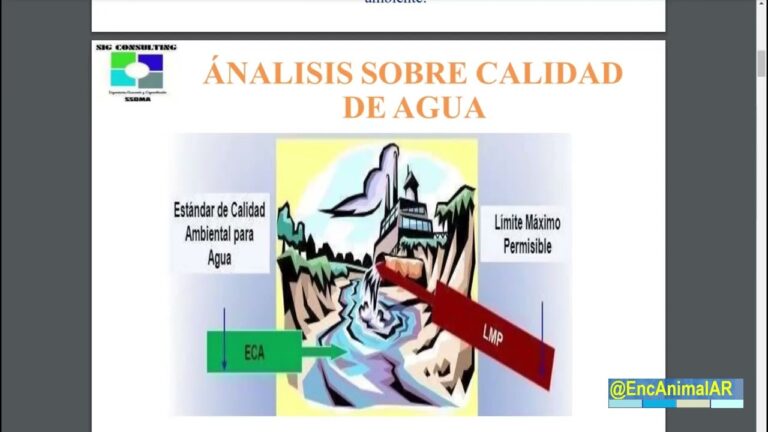 Mejorando la Calidad del Suelo: T&eacute;cnicas de Conservaci&oacute;n de Recursos H&iacute;dricos