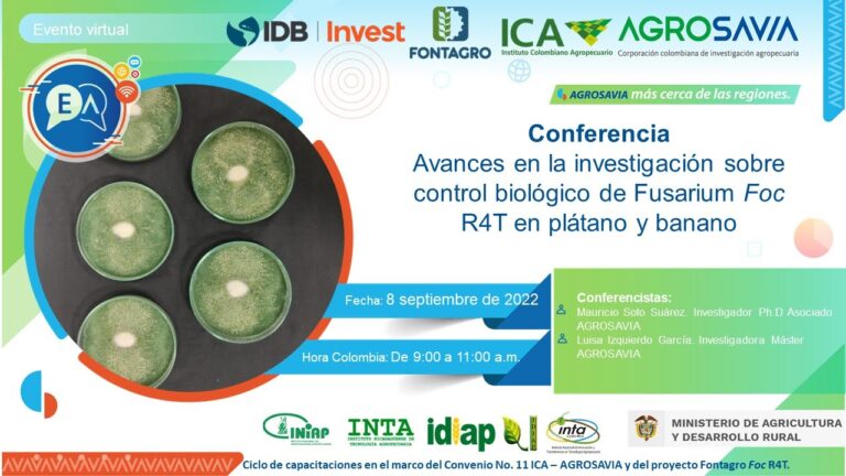 Avances en el Control de Enfermedades Agrícolas mediante Investigación Fitopatológica