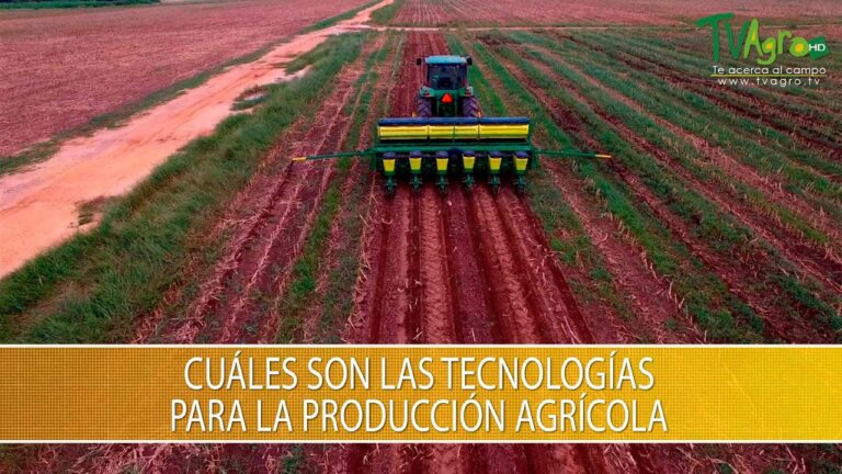 Innovaciones en el Transporte de Productos Agr&iacute;colas