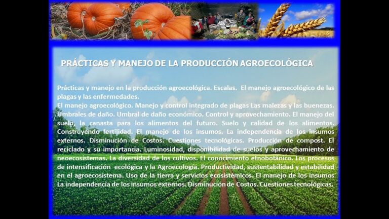Transformaci&oacute;n sostenible: Pr&aacute;cticas agroecol&oacute;gicas en la producci&oacute;n alimentaria