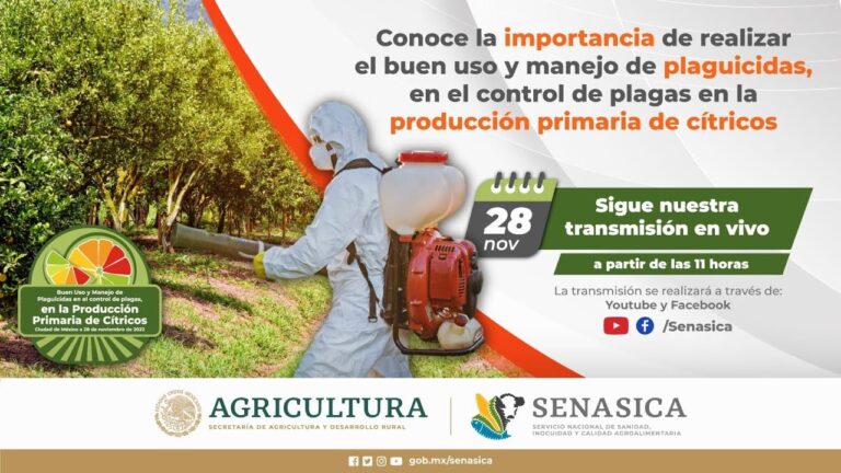 La importancia de la investigaci&oacute;n agroalimentaria en el control de plagas