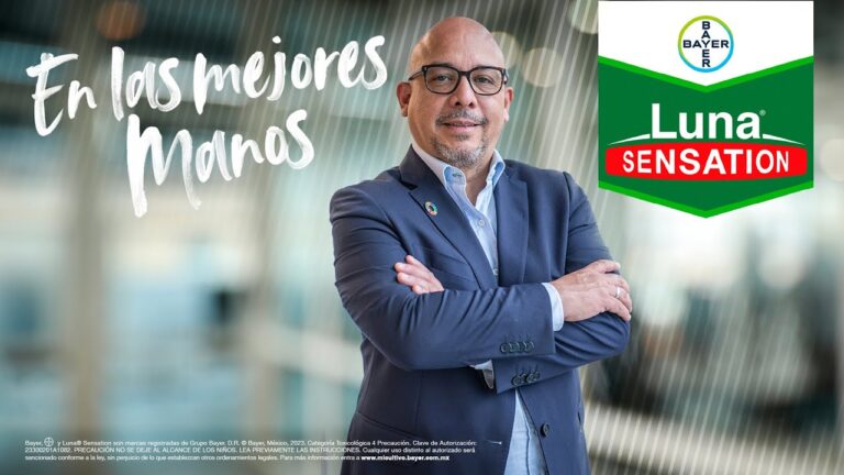 Mejorando la Seguridad Alimentaria en la Cadena de Suministro: Estrategias Clave