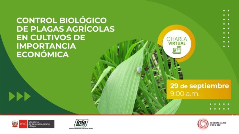 Importancia de la Investigaci&oacute;n en el Control de Enfermedades Agr&iacute;colas para una Producci&oacute;n Sostenible