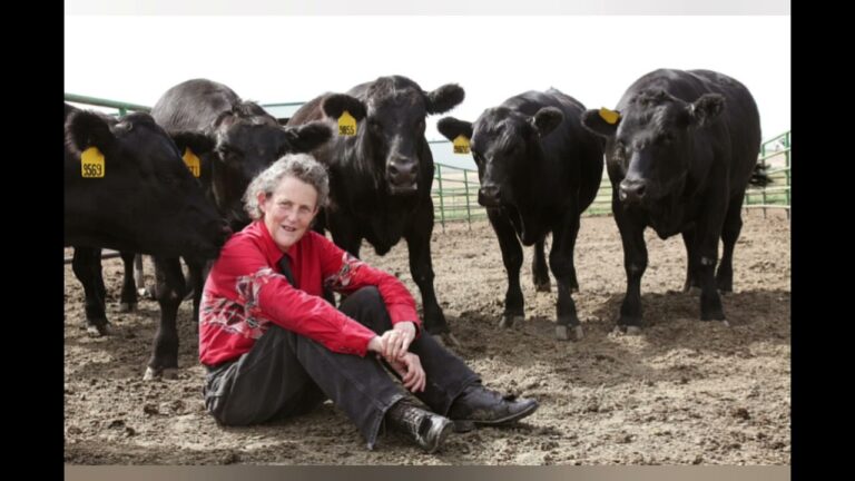 Bienestar Animal en Mataderos: Un An&aacute;lisis Integral