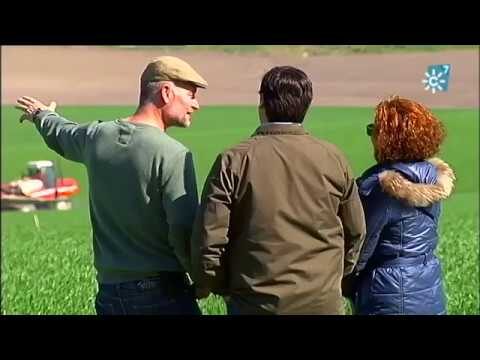 Innovaci&oacute;n Tecnol&oacute;gica en la Formaci&oacute;n Agropecuaria